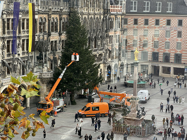 Aufstellung der Tanne aus Antdorf auf dem Marienplatz (©Foto. Martin Schmitz)